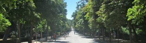 999215_10151814989740365_64647345_n